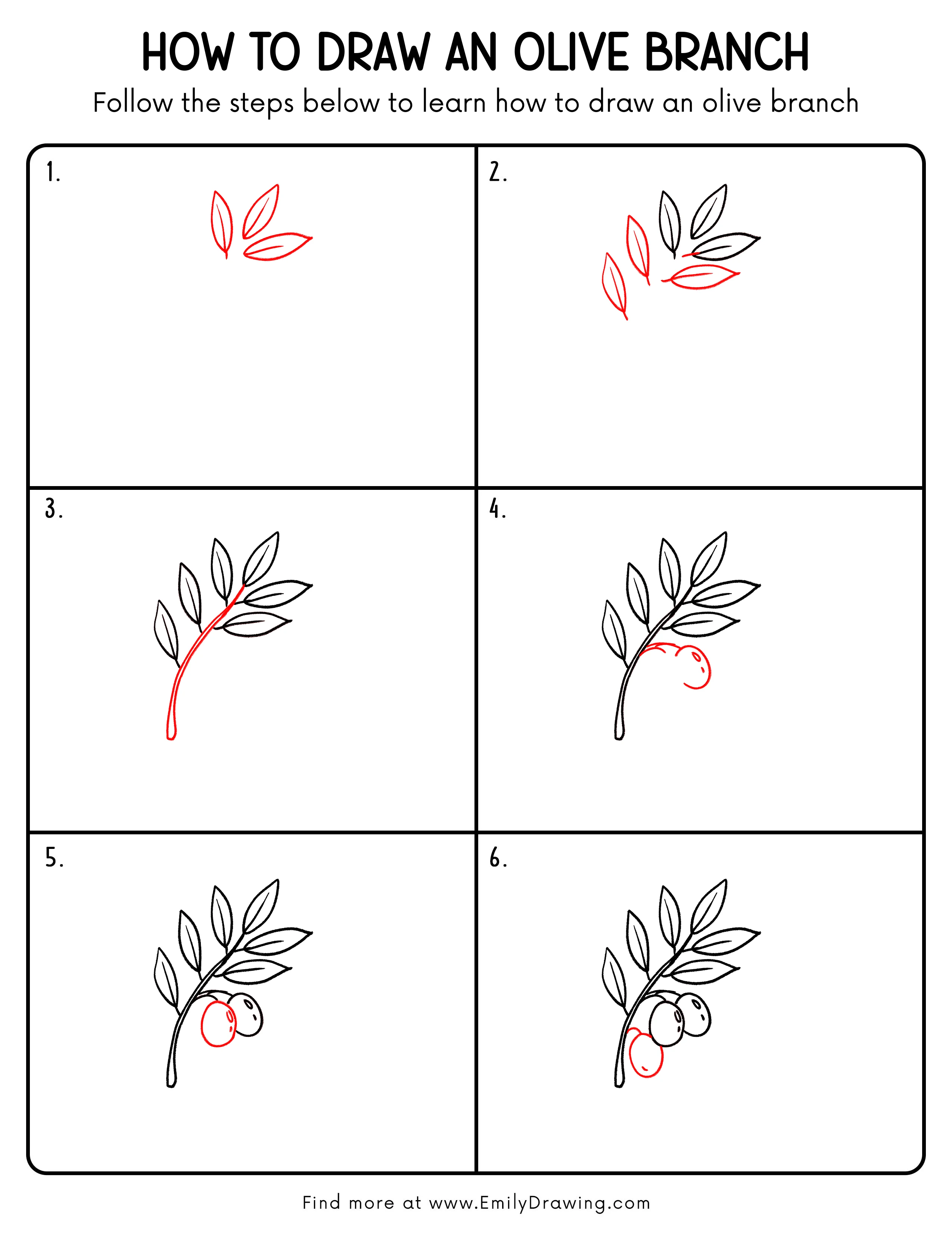 Printable Olive Branch Drawing Guide